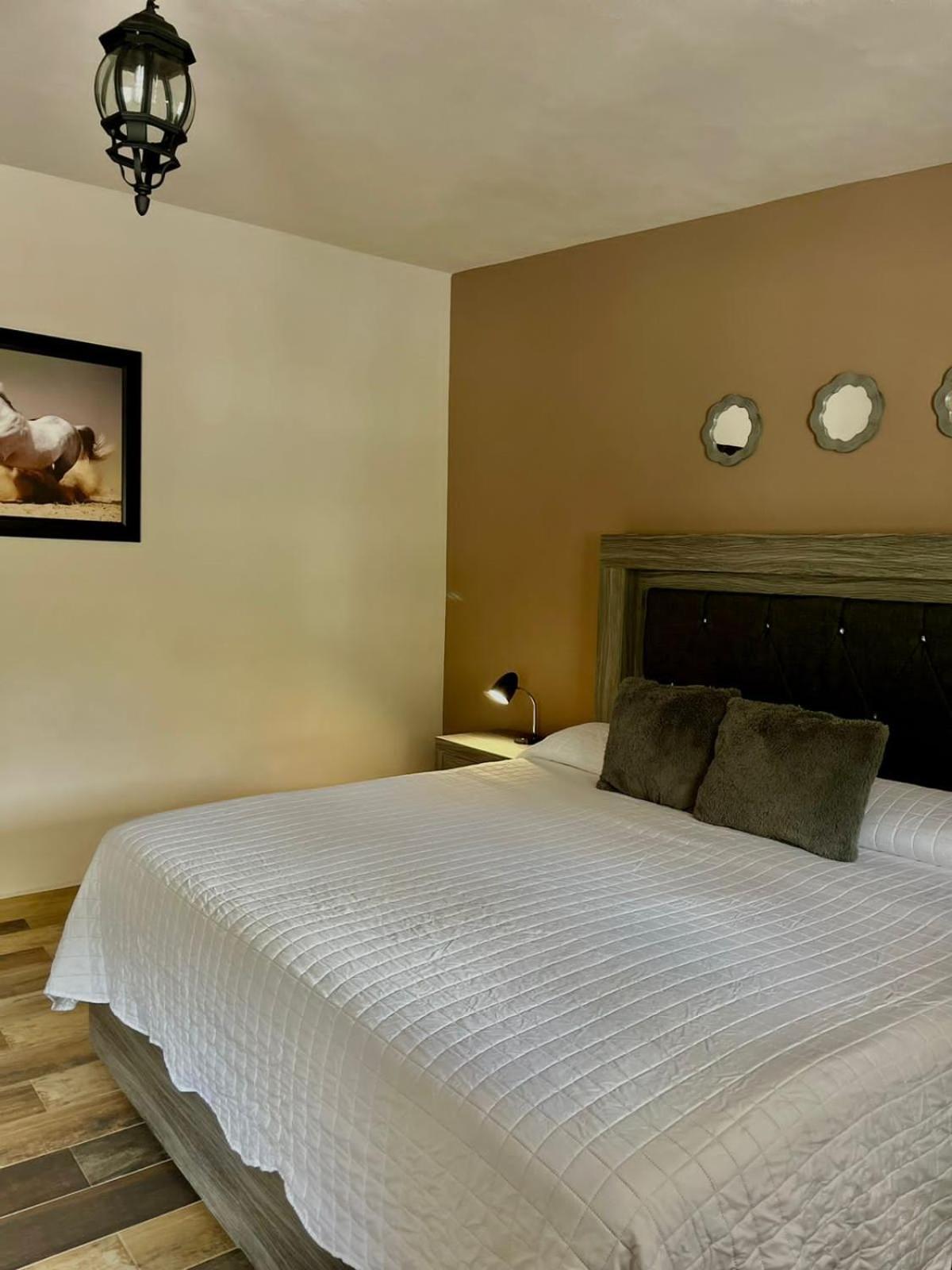 Cabanas, Suites Y Habitaciones Rancho San Jorge Bernal Esterno foto